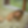 Torro/2015-01-22 Lay Me Down