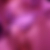 doggirlthing - onlyfans rip sept 12 2023 thumbnail