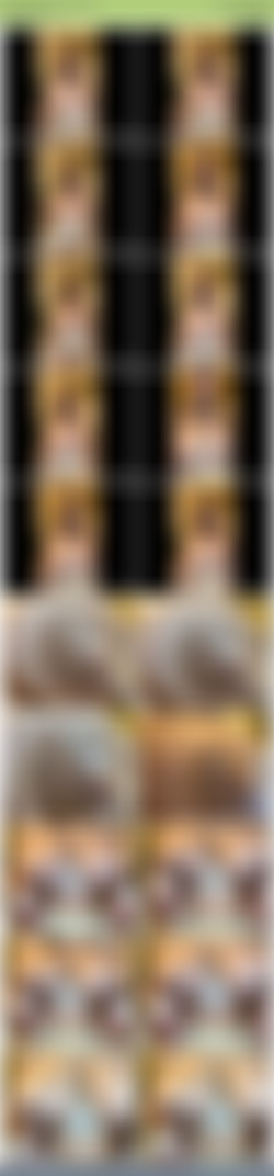 [OnlyFans] hazelmay38j - As of 20220816/screens/2022-05-21-2462057699.mp4.jpg