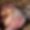 Amateur Anal might Hurt but she Loves it thumbnail