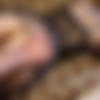 Amateur Anal might Hurt but she Loves it thumbnail