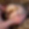 Amateur Anal might Hurt but she Loves it thumbnail
