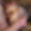 Amateur Anal might Hurt but she Loves it thumbnail